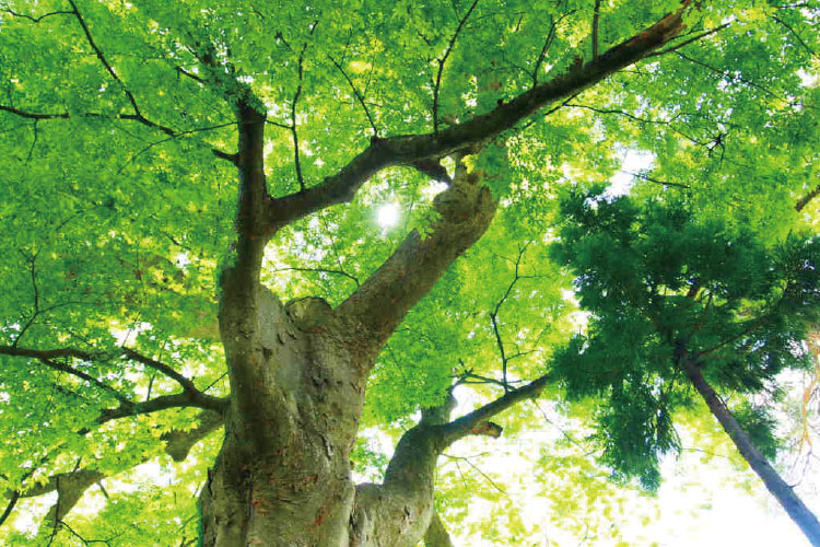 松浦商事株式会社 福島県会津若松市 下水道維持管理 / 産業・一般廃棄物収集運搬 会社概要